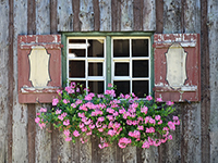 Gästgiverier i Skåne och Österlen