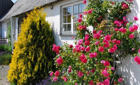 Södergårda Östra Bed & Breakfast