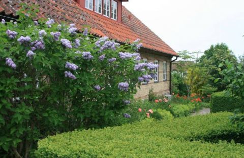 Killegården Bed & Breakfast