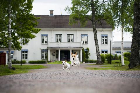 Länsmansgården i Sunne