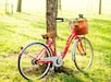 Cykelpaket (inklusive cykling och lunch)